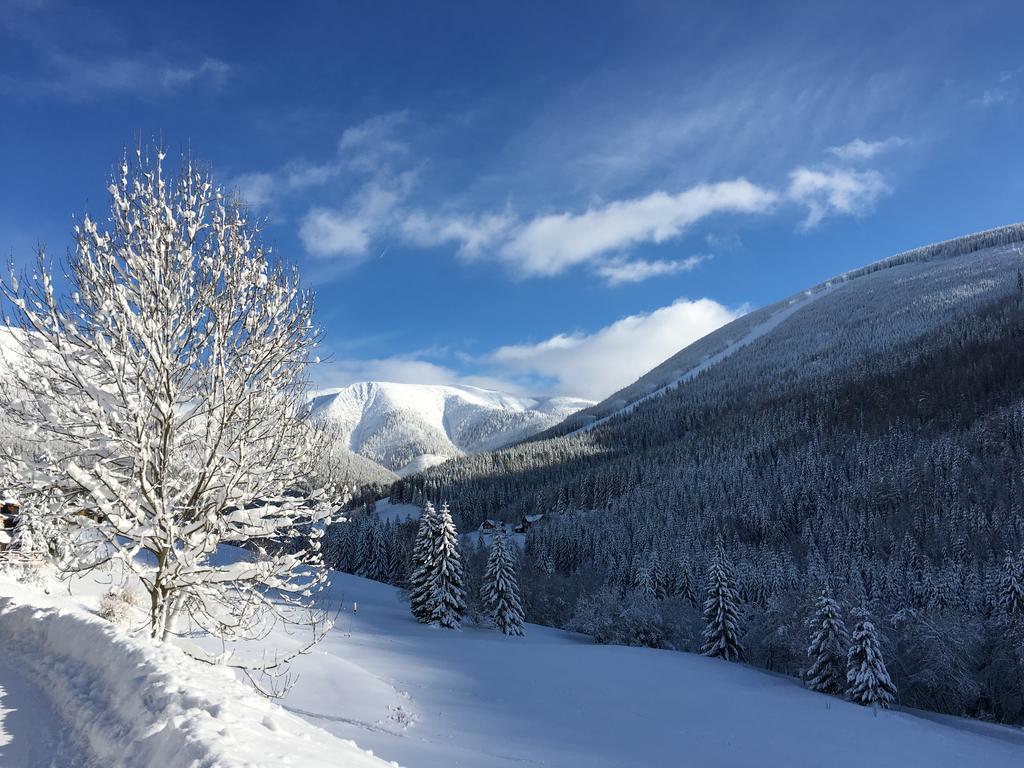 Alpsky Hotel Špindlerŭv Mlýn المظهر الخارجي الصورة